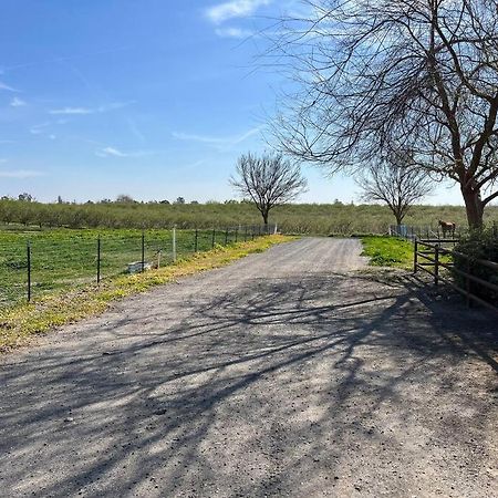 Adorable 1 Bedroom With Pool, And Horse Arena Oakdale Esterno foto