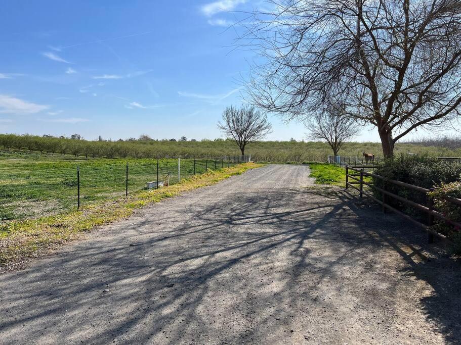 Adorable 1 Bedroom With Pool, And Horse Arena Oakdale Esterno foto